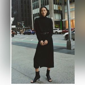 NWT Zara high collar midi dress, sz S